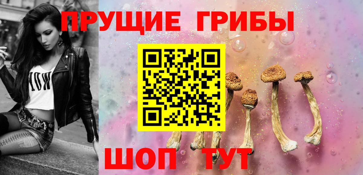 Псилоцибиновые грибы прущие грибы Ялта