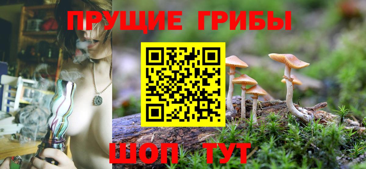 Псилоцибиновые грибы Magic Shrooms  Галлюциногенные грибы Psilocybe  Вход с VPN  Ялта 